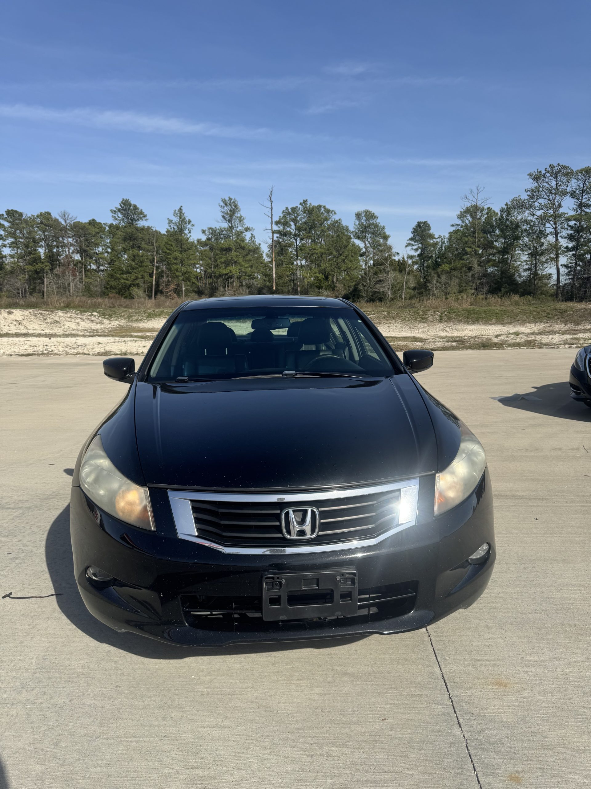 2010 HONDA ACCORD EX-L V6